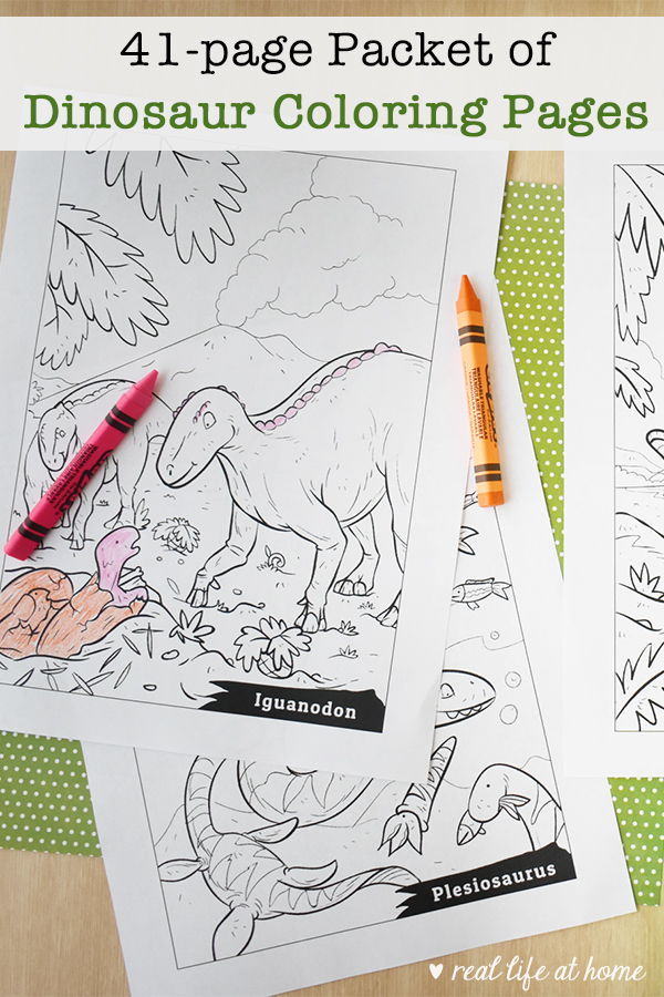 41-page packet of dinosaur coloring sheets featuring 39 pages of dinosaurs