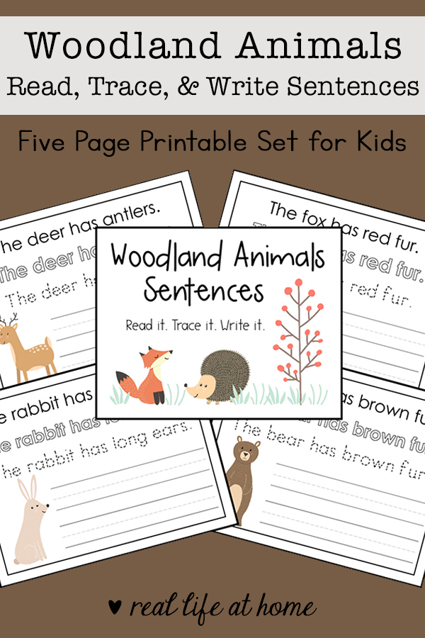 Woodland Animals: Read, Trace, and Write Sentences Packet