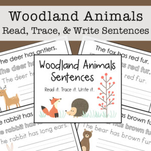 Woodland Animals Read, Trace, and Write Sentences Packet