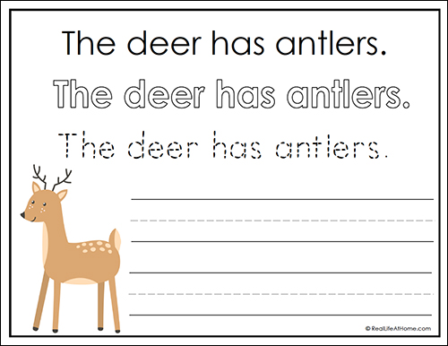Deer Copywork Page from the Woodland Animals Copywork Packet