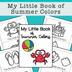 My Little Book of Summer Colors