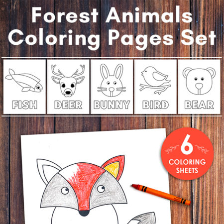 Woodland Animals Coloring Pages Set