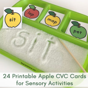 Apple CVC Word Cards Sensory Activity
